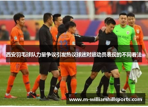 西安羽毛球队力量争议引发热议球迷对运动员表现的不同看法