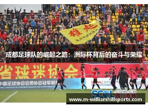 成都足球队的崛起之路：洲际杯背后的奋斗与荣耀