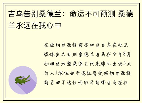 吉乌告别桑德兰：命运不可预测 桑德兰永远在我心中